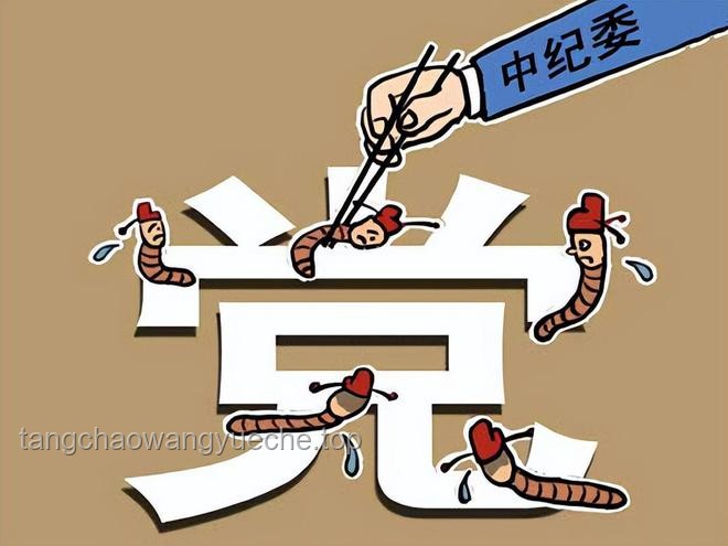 体制内着装革新：打破刻板，释放个性新风尚